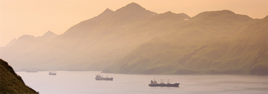 Mark D. Nelson to lead new BBNC oilfield and industrial services holding company