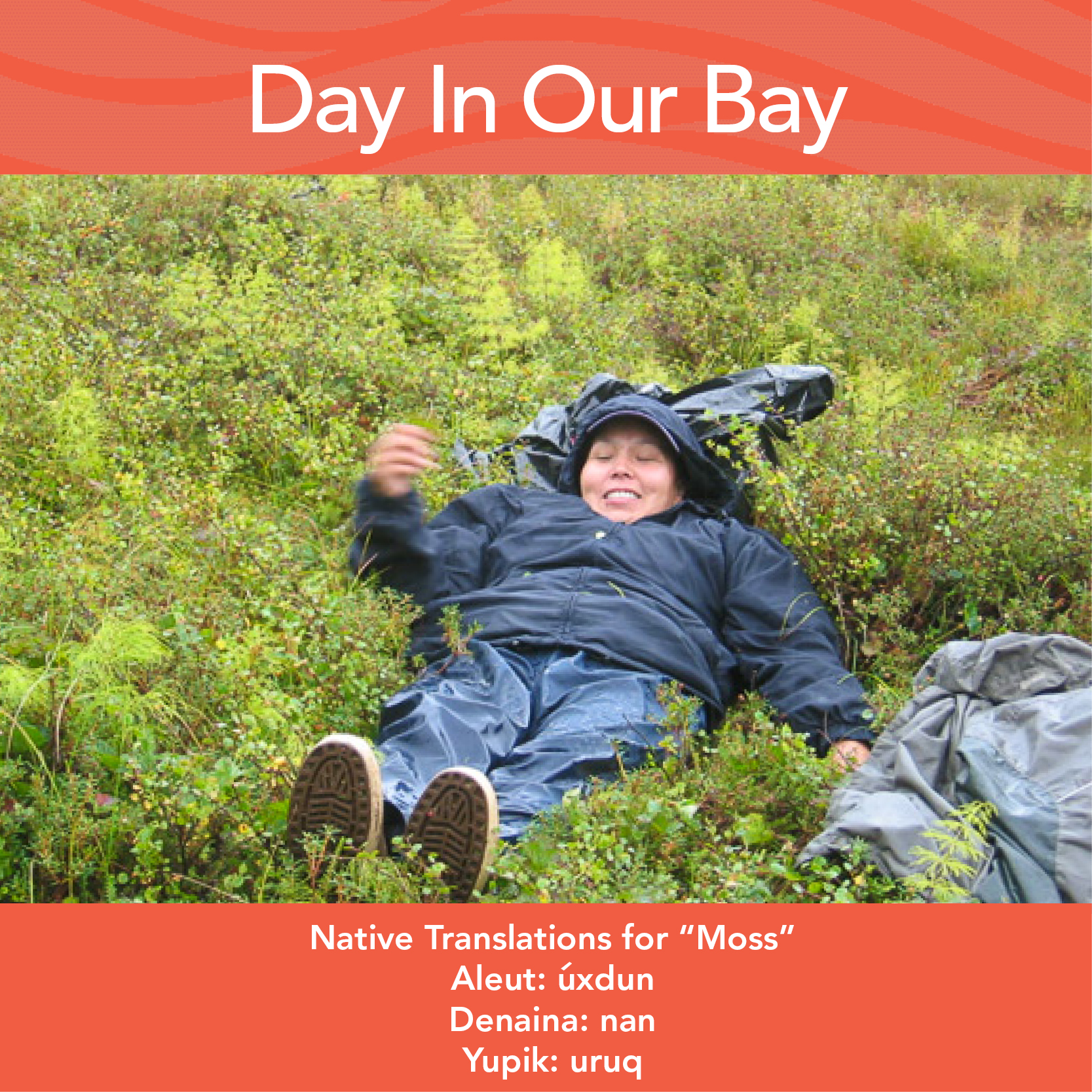 Word of the month: Moss