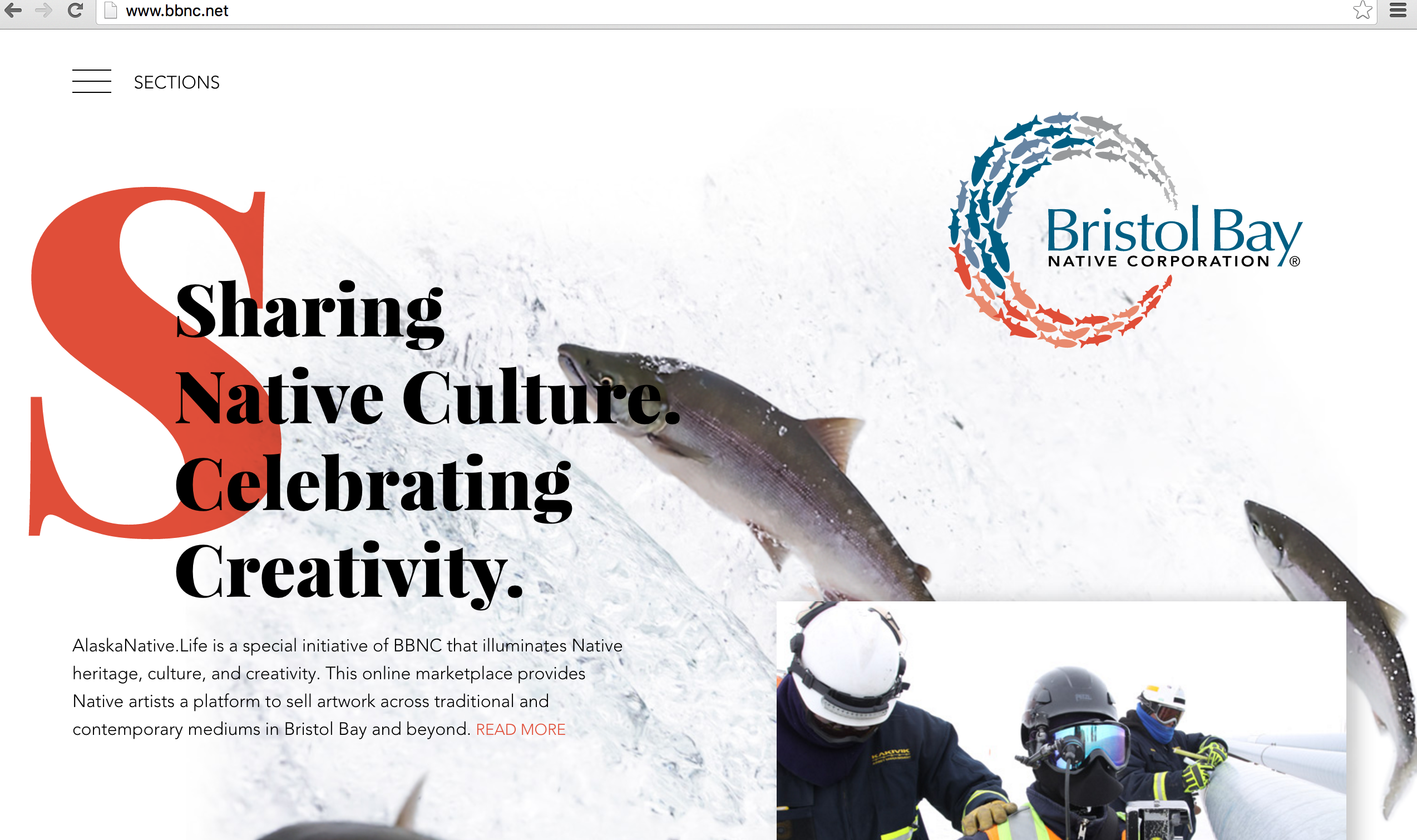 BBNC has a new website!