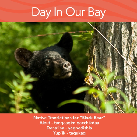 Word of the month:  Black Bear