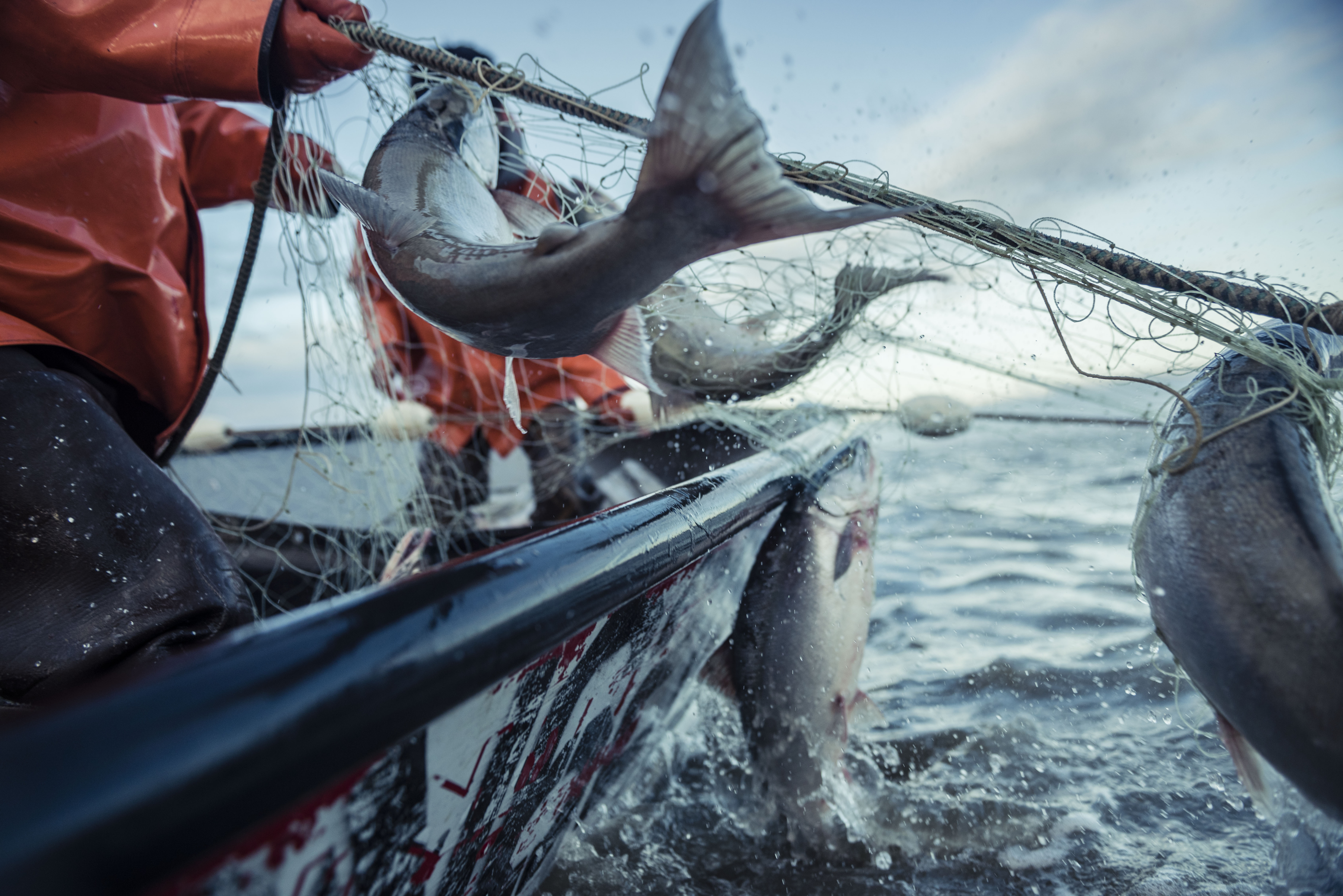 BBNC’s Newest TV Ad