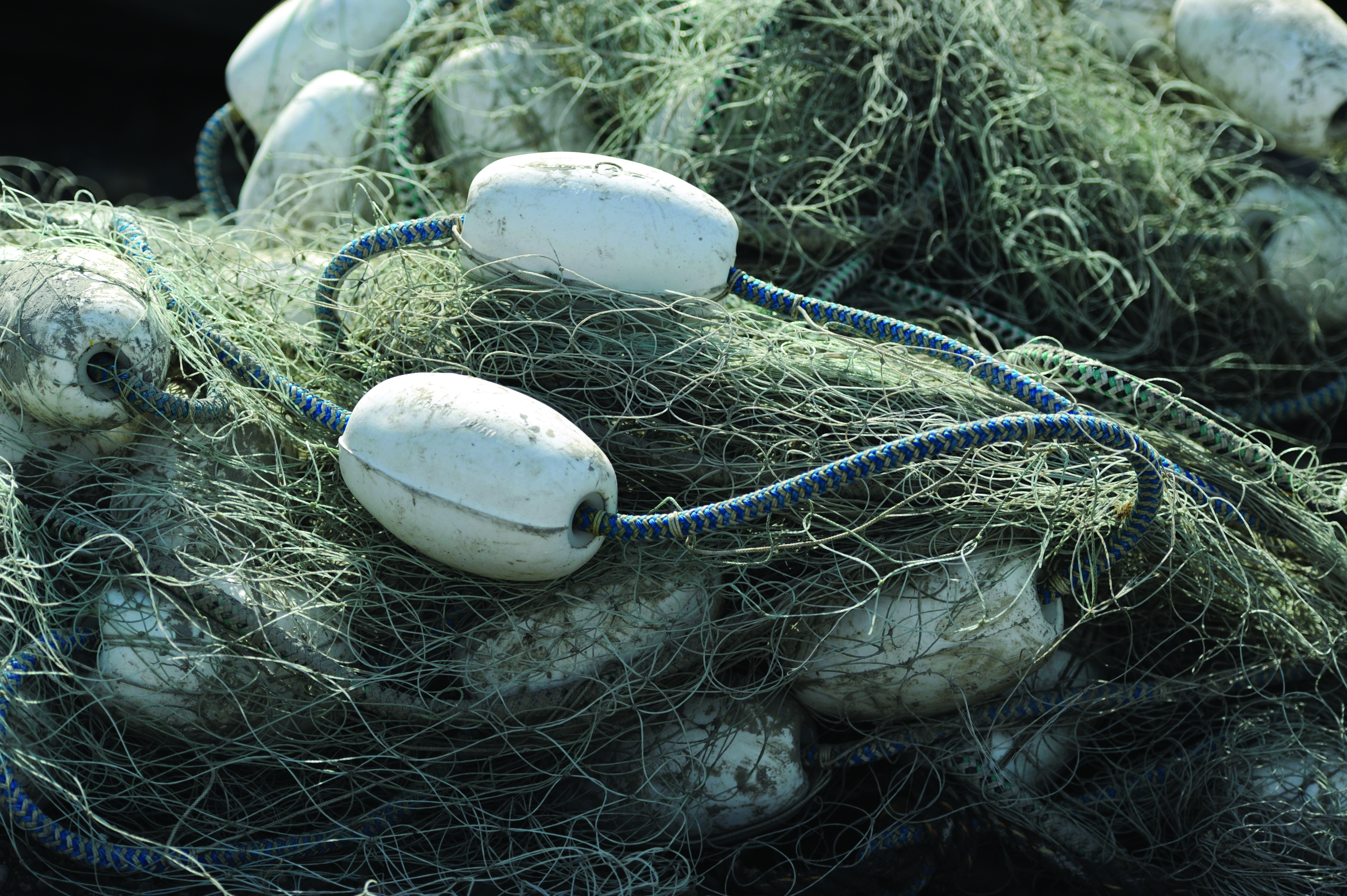 Complying with Trade Controls and Sanctions